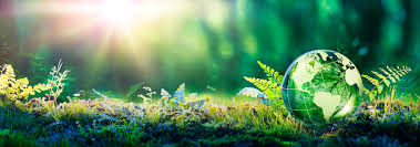 Environmental Conservation