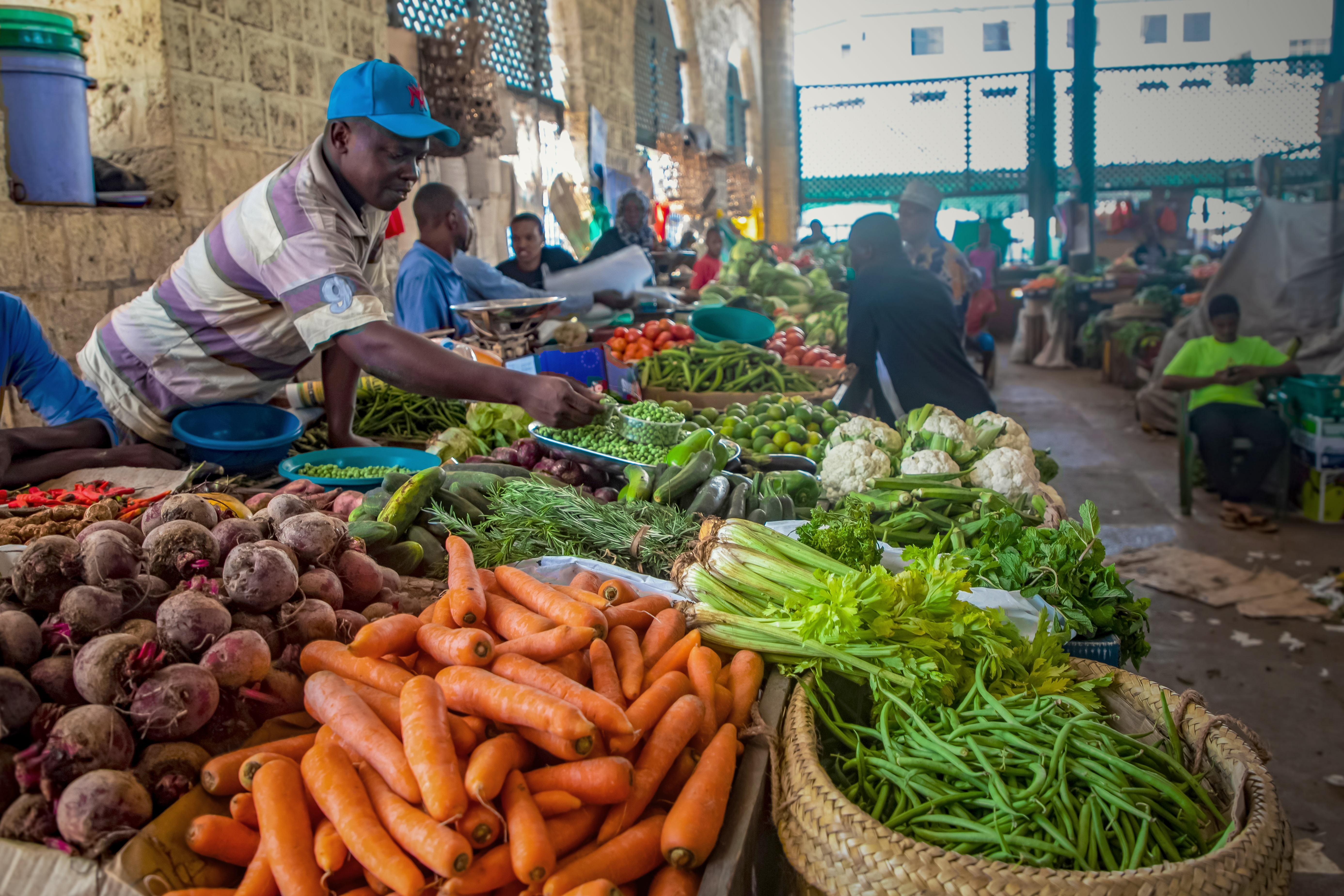 Agribusiness Market Research